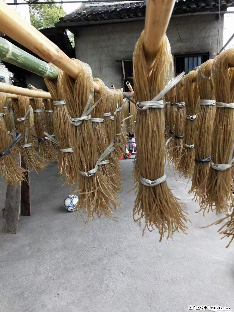 【灌阳正宗红薯粉】美女家里自己做的，干净卫生，假一赔十，价格合理，抢购电话：13737312895 - 美食天地 - 平顶山生活社区 - 平顶山28生活网 pds.28life.net