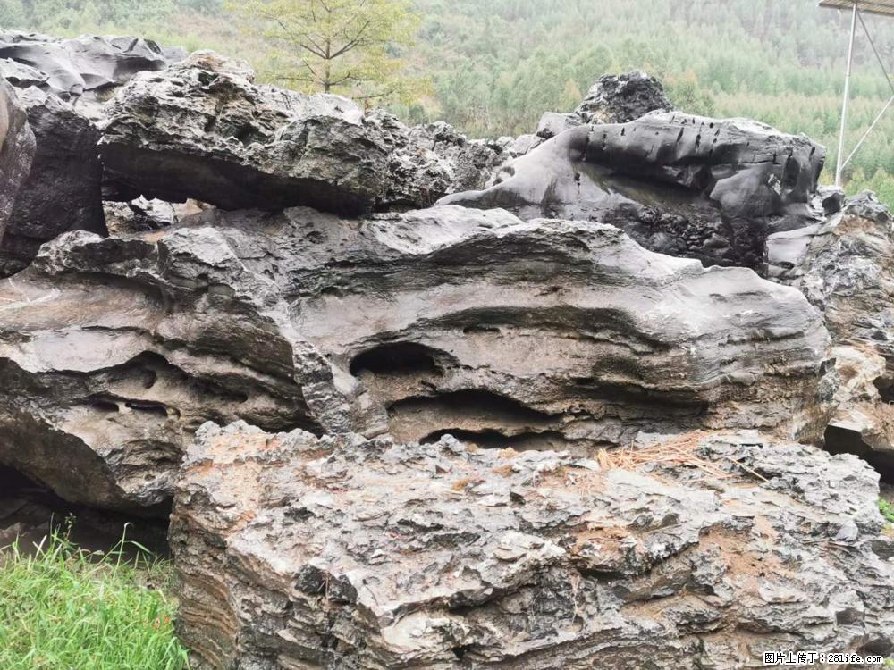 风景石、假山石大量有货，有需要的欢迎联系 - 新手上路 - 平顶山生活社区 - 平顶山28生活网 pds.28life.net