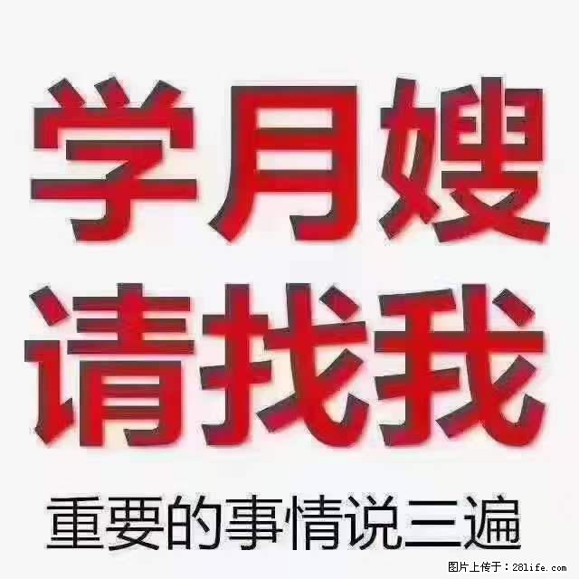 为什么要学习月嫂，育婴师？ - 其他广告 - 广告专区 - 平顶山分类信息 - 平顶山28生活网 pds.28life.net