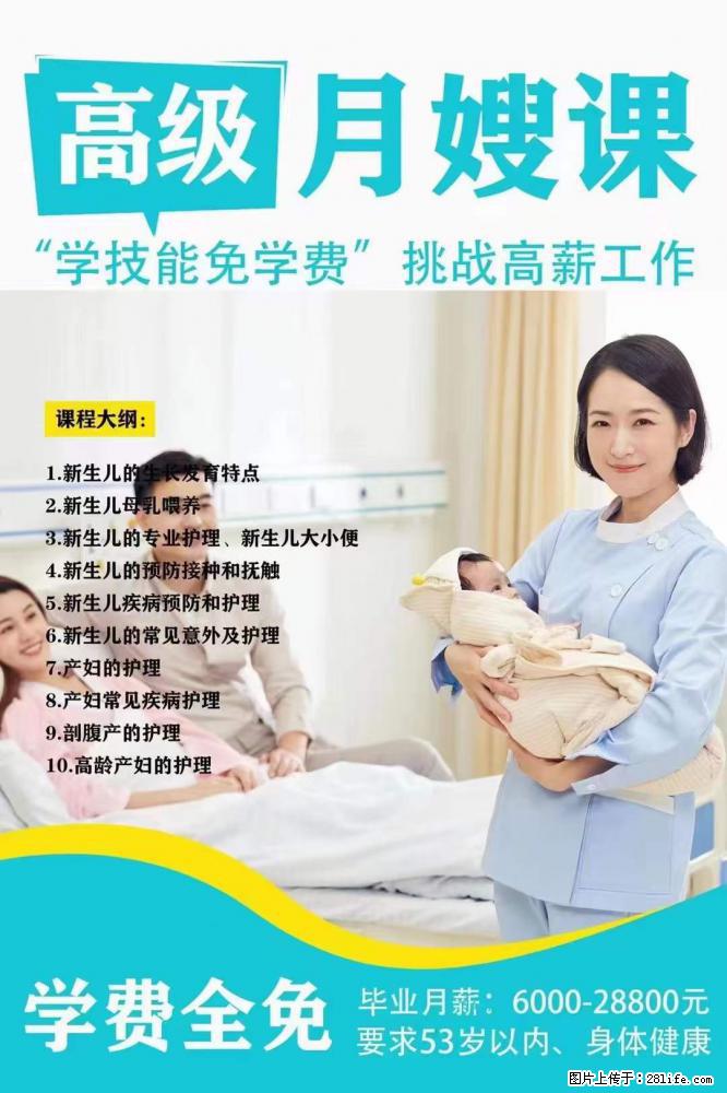 为什么要学习月嫂，育婴师？ - 其他广告 - 广告专区 - 平顶山分类信息 - 平顶山28生活网 pds.28life.net