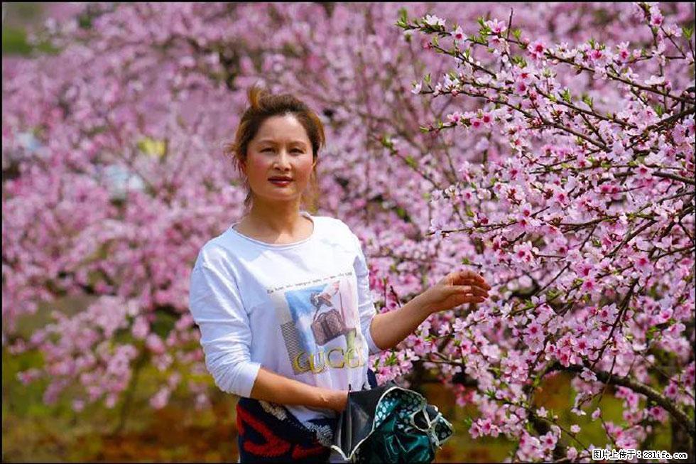 【春天，广西桂林灌阳县向您发出邀请！】官庄村有个醉美的桃花园 - 游山玩水 - 平顶山生活社区 - 平顶山28生活网 pds.28life.net