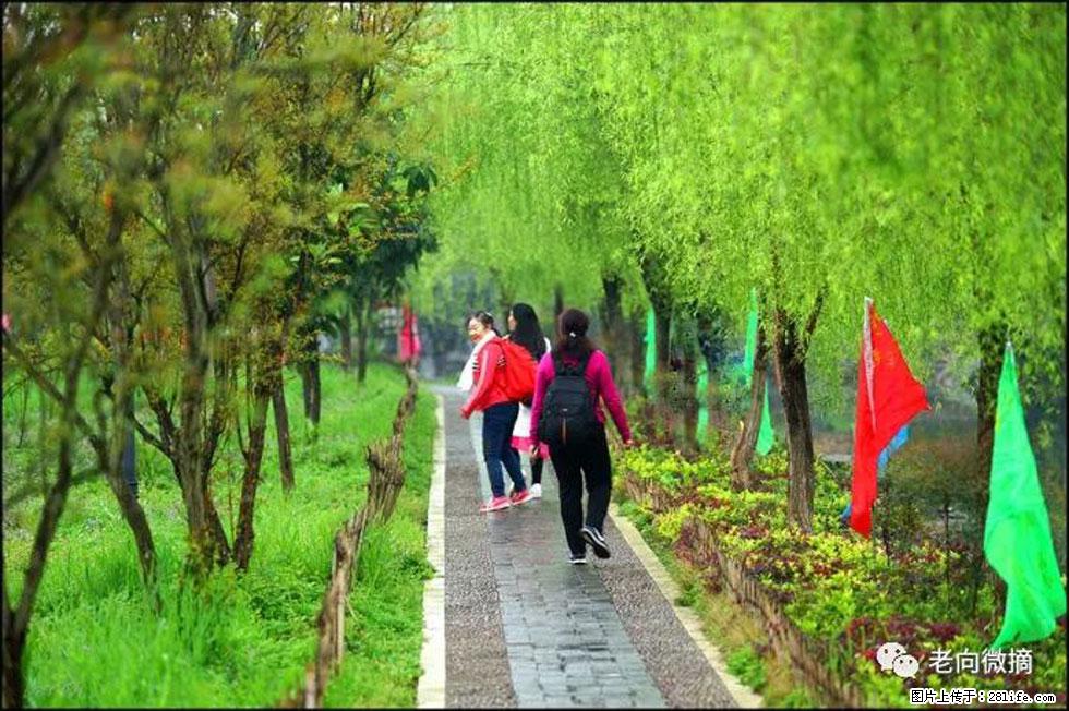 【春天，广西桂林灌阳县向您发出邀请！】江口老街又逢春 - 游山玩水 - 平顶山生活社区 - 平顶山28生活网 pds.28life.net