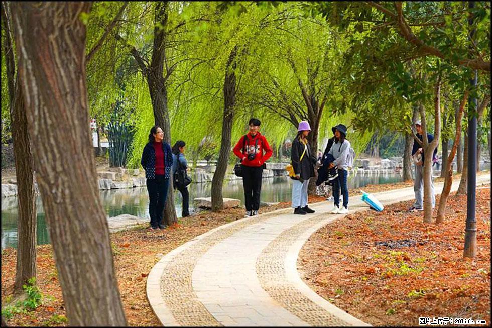 【春天，广西桂林灌阳县向您发出邀请！】江口老街又逢春 - 游山玩水 - 平顶山生活社区 - 平顶山28生活网 pds.28life.net