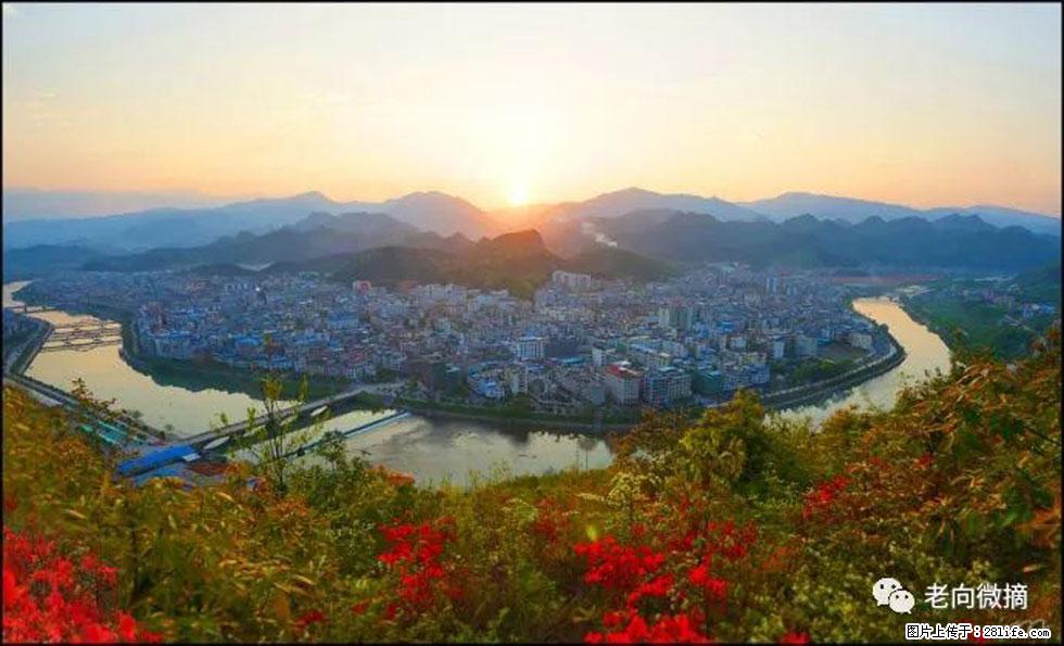 【春天，广西桂林灌阳县向您发出邀请！】登麒麟山，相约映山红 - 游山玩水 - 平顶山生活社区 - 平顶山28生活网 pds.28life.net