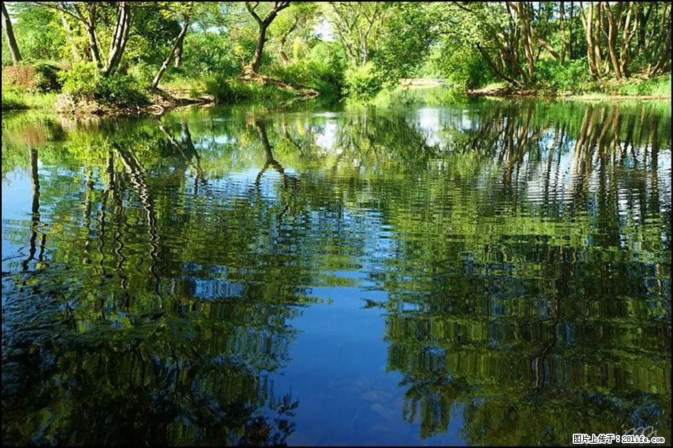 【春天，广西桂林灌阳县向您发出邀请！】熊家寨湿地公园 - 游山玩水 - 平顶山生活社区 - 平顶山28生活网 pds.28life.net