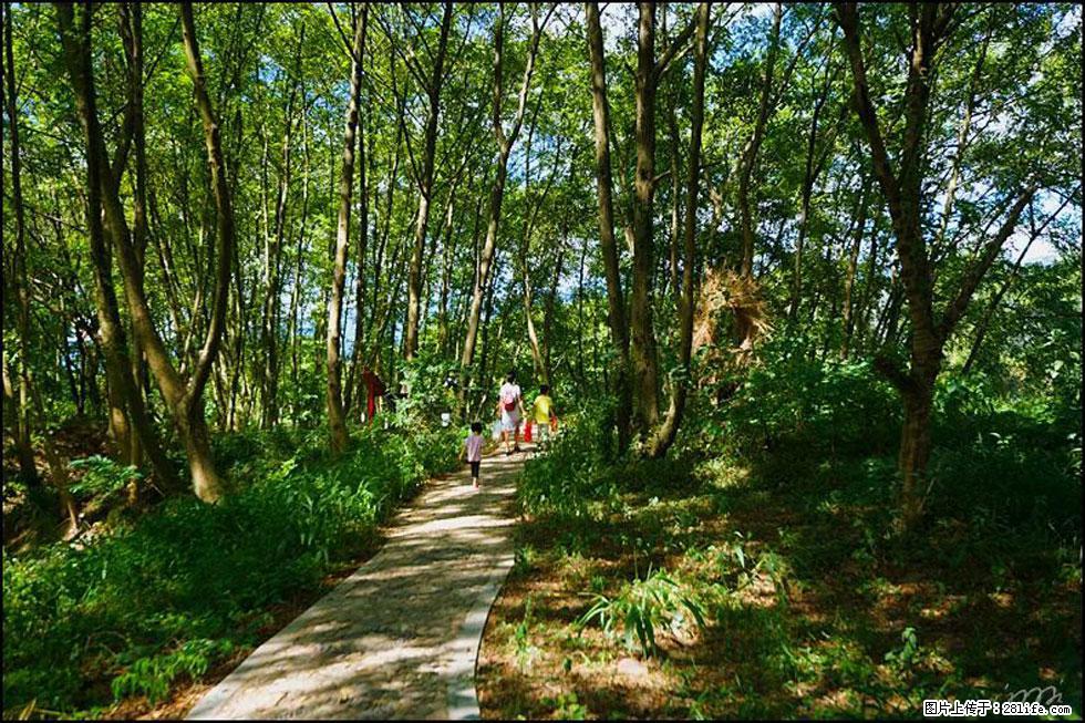 【春天，广西桂林灌阳县向您发出邀请！】熊家寨湿地公园 - 游山玩水 - 平顶山生活社区 - 平顶山28生活网 pds.28life.net