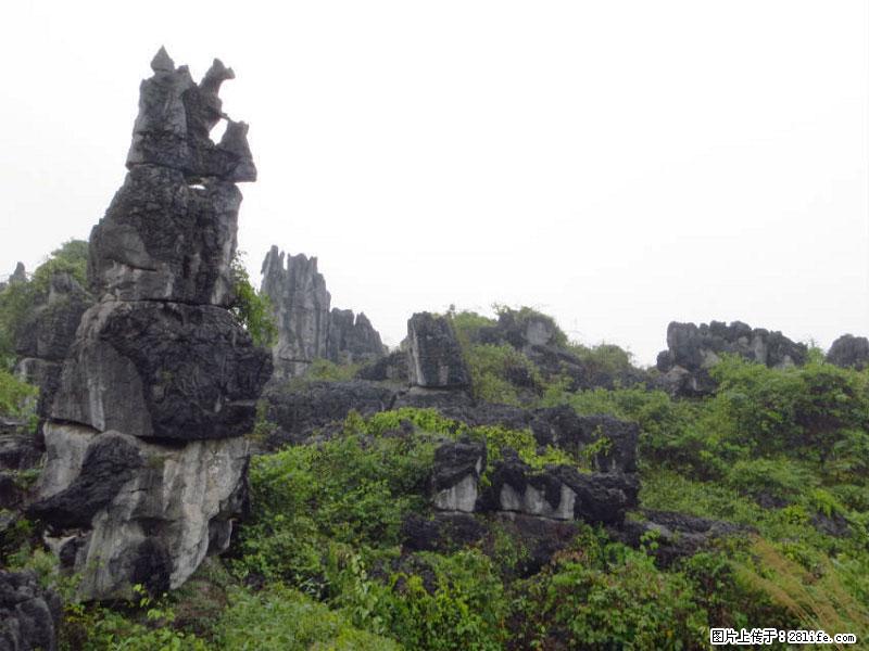 桂林旅游名城景点：灌阳文市石林 - 游山玩水 - 平顶山生活社区 - 平顶山28生活网 pds.28life.net