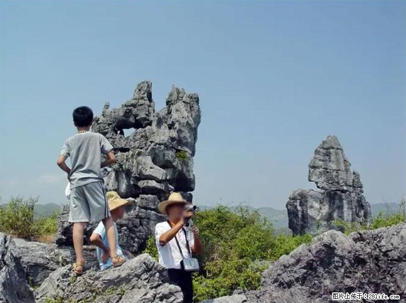 桂林旅游名城景点：灌阳文市石林 - 游山玩水 - 平顶山生活社区 - 平顶山28生活网 pds.28life.net