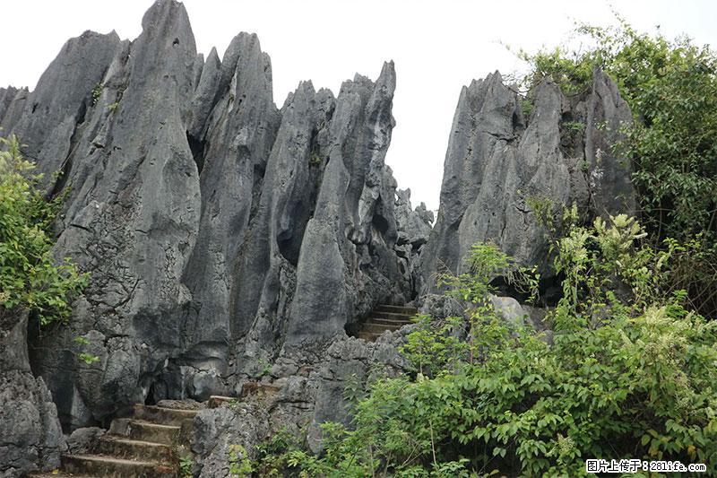 桂林旅游名城景点：灌阳文市石林 - 游山玩水 - 平顶山生活社区 - 平顶山28生活网 pds.28life.net