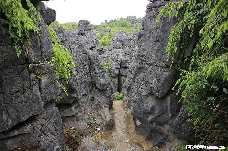 桂林旅游名城景点：灌阳文市石林 - 游山玩水 - 平顶山生活社区 - 平顶山28生活网 pds.28life.net