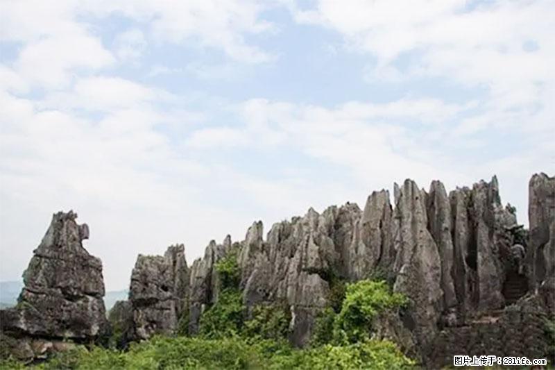 桂林旅游名城景点：灌阳文市石林 - 游山玩水 - 平顶山生活社区 - 平顶山28生活网 pds.28life.net