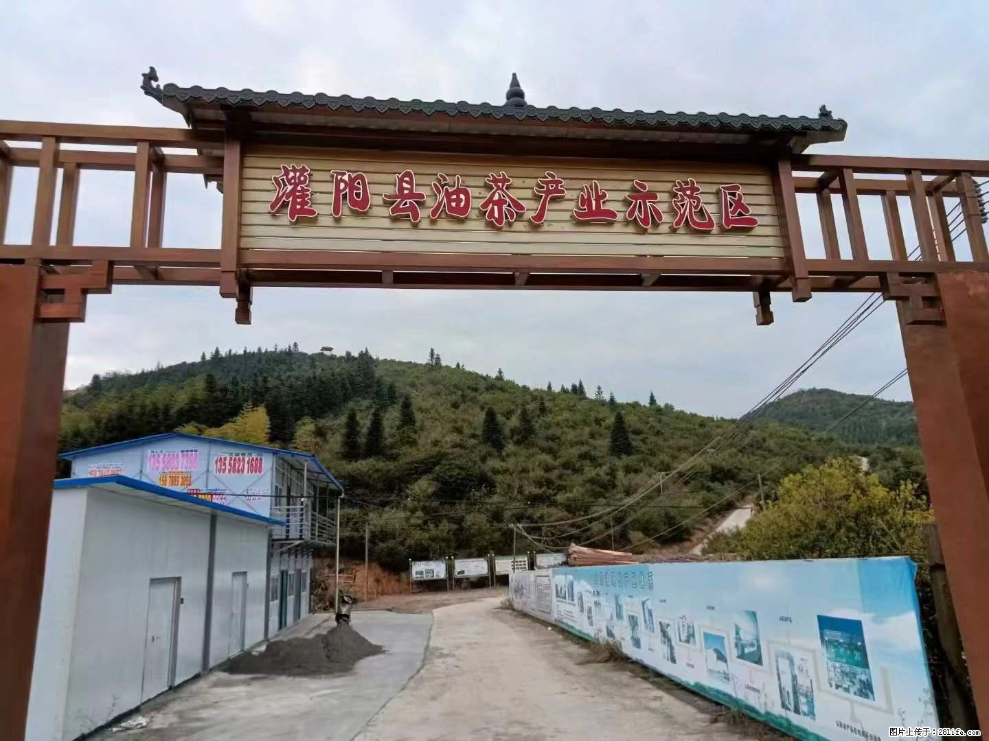 【灌阳县油茶产业示范区】一个有着充实的精神生活的人，对待身外之物自会有一种淡泊的态度 - 土特产 - 饮食特产 - 平顶山分类信息 - 平顶山28生活网 pds.28life.net