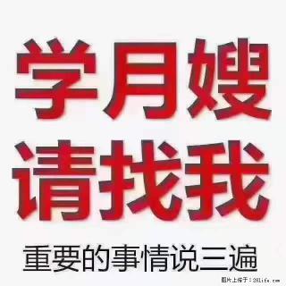 为什么要学习月嫂，育婴师？ - 平顶山28生活网 pds.28life.net