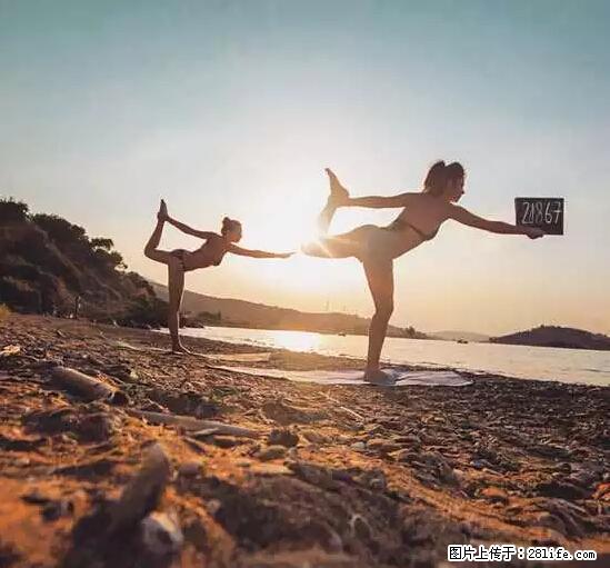 辞掉工作周游世界？现在他们在洗厕所…… - 游山玩水 - 平顶山生活社区 - 平顶山28生活网 pds.28life.net