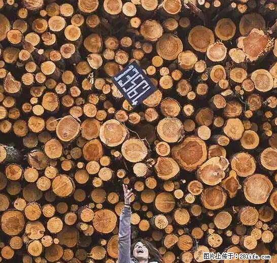 辞掉工作周游世界？现在他们在洗厕所…… - 游山玩水 - 平顶山生活社区 - 平顶山28生活网 pds.28life.net