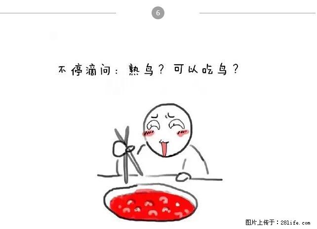 千万不要和这9种哈卵一起吃火锅！ - 美食天地 - 平顶山生活社区 - 平顶山28生活网 pds.28life.net