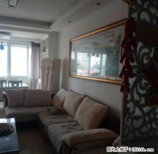 中源地产南环路文化广场附近精装修拎包入住 - 平顶山28生活网 pds.28life.net