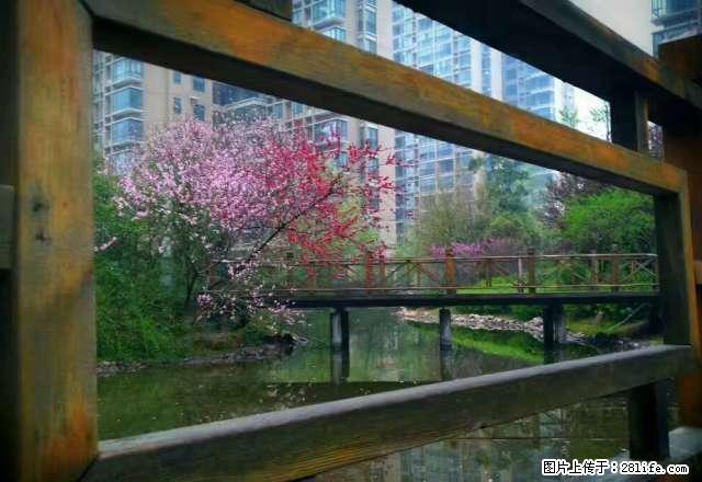 蓝湾新城出租2室有暖气 直接入住1800/月 - 房屋出租 - 房屋租售 - 平顶山分类信息 - 平顶山28生活网 pds.28life.net
