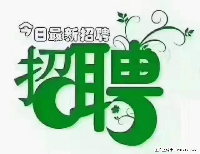 【招聘摄像师】待遇：试用期6000元/月，转正7000元/月+五险一金+餐补+节日福利+奖金 - 职场交流 - 平顶山生活社区 - 平顶山28生活网 pds.28life.net