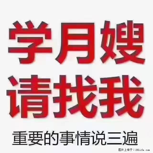 【招聘】月嫂，上海徐汇区 - 职场交流 - 平顶山生活社区 - 平顶山28生活网 pds.28life.net