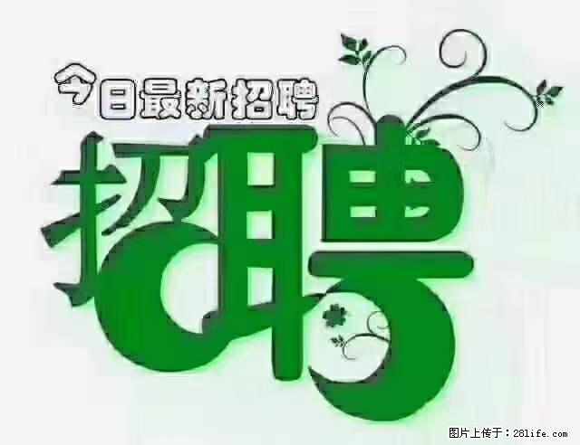上海隔离酒店招人：55岁以下 男女不限 - 职场交流 - 平顶山生活社区 - 平顶山28生活网 pds.28life.net