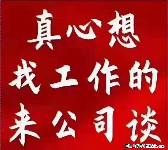 【上海】国企，医院招两名男保安，55岁以下，身高1.7米以上，无犯罪记录不良嗜好 - 职场交流 - 平顶山生活社区 - 平顶山28生活网 pds.28life.net
