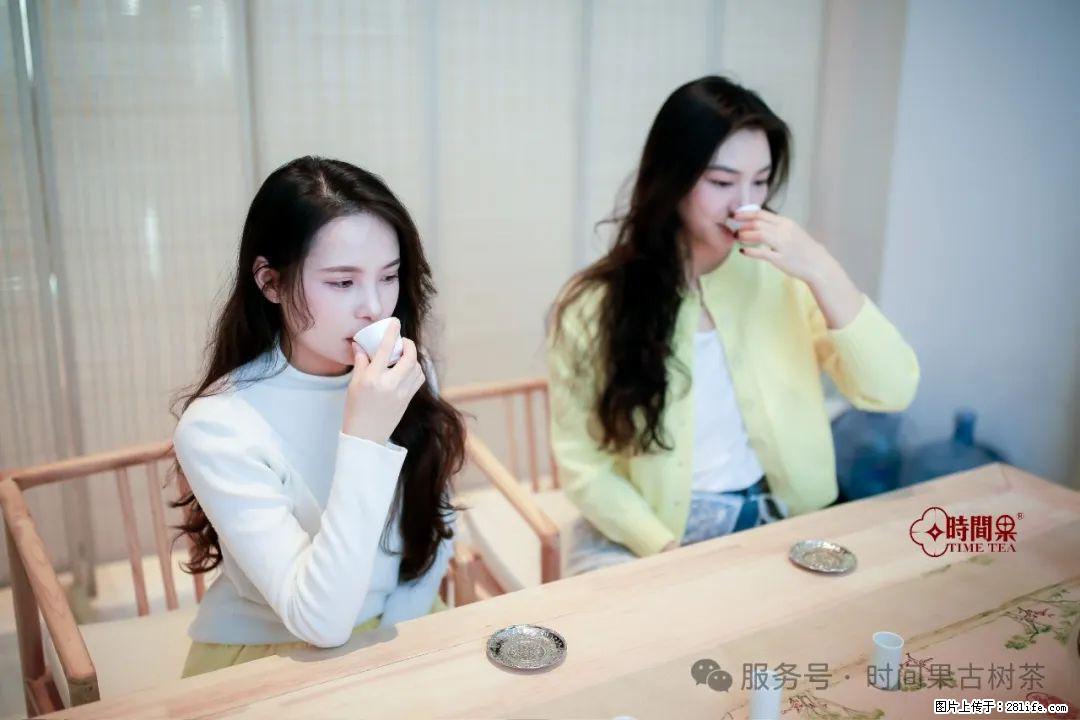 时间果百年古树龙珠普洱生茶 - 购物交流 - 平顶山生活社区 - 平顶山28生活网 pds.28life.net