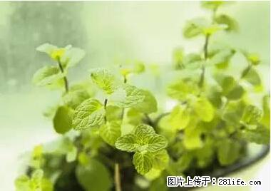 晕车、脚气、牙齿变黄、皮肤粗糙？学会这些三分钟搞定！ - 平顶山生活资讯 - 平顶山28生活网 pds.28life.net