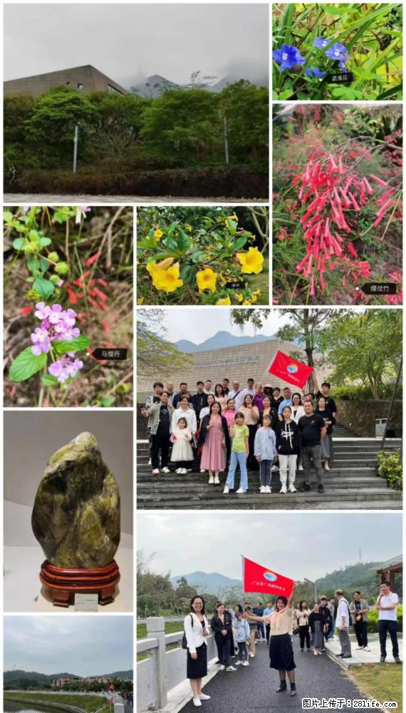 “粤灌文化 美好生活”油茶文化主题活动在广东深圳成功举办 - 平顶山生活资讯 - 平顶山28生活网 pds.28life.net