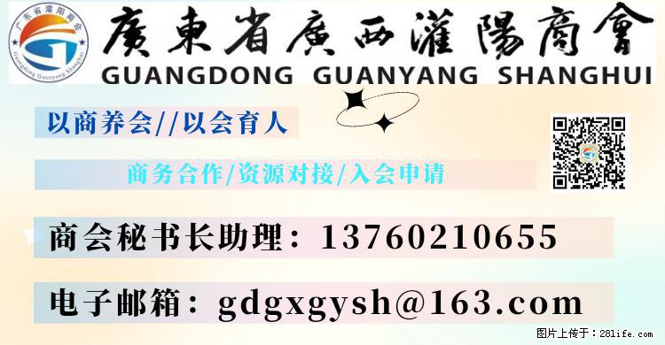“粤灌文化 美好生活”油茶文化主题活动在广东深圳成功举办 - 平顶山生活资讯 - 平顶山28生活网 pds.28life.net