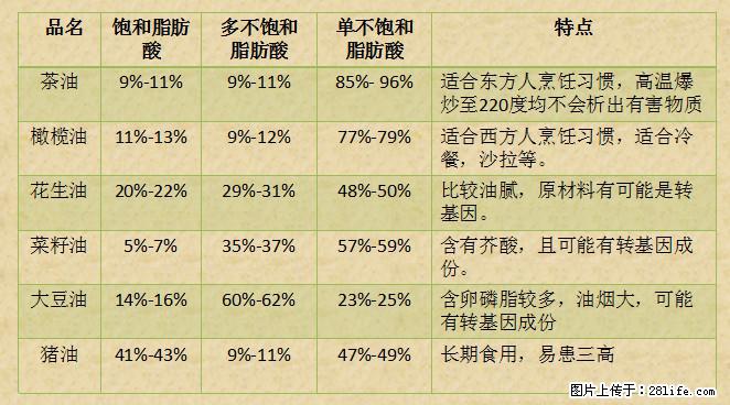 揭秘茶油的5大核心营养成分！被称为人体健康的“守护盾”！ - 平顶山生活资讯 - 平顶山28生活网 pds.28life.net