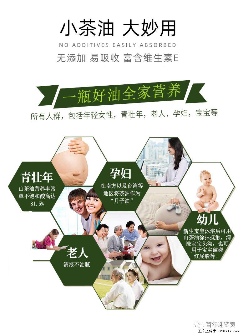 世界没有真相，只有认知，最好的食用油是中国的山茶油！ - 平顶山生活资讯 - 平顶山28生活网 pds.28life.net