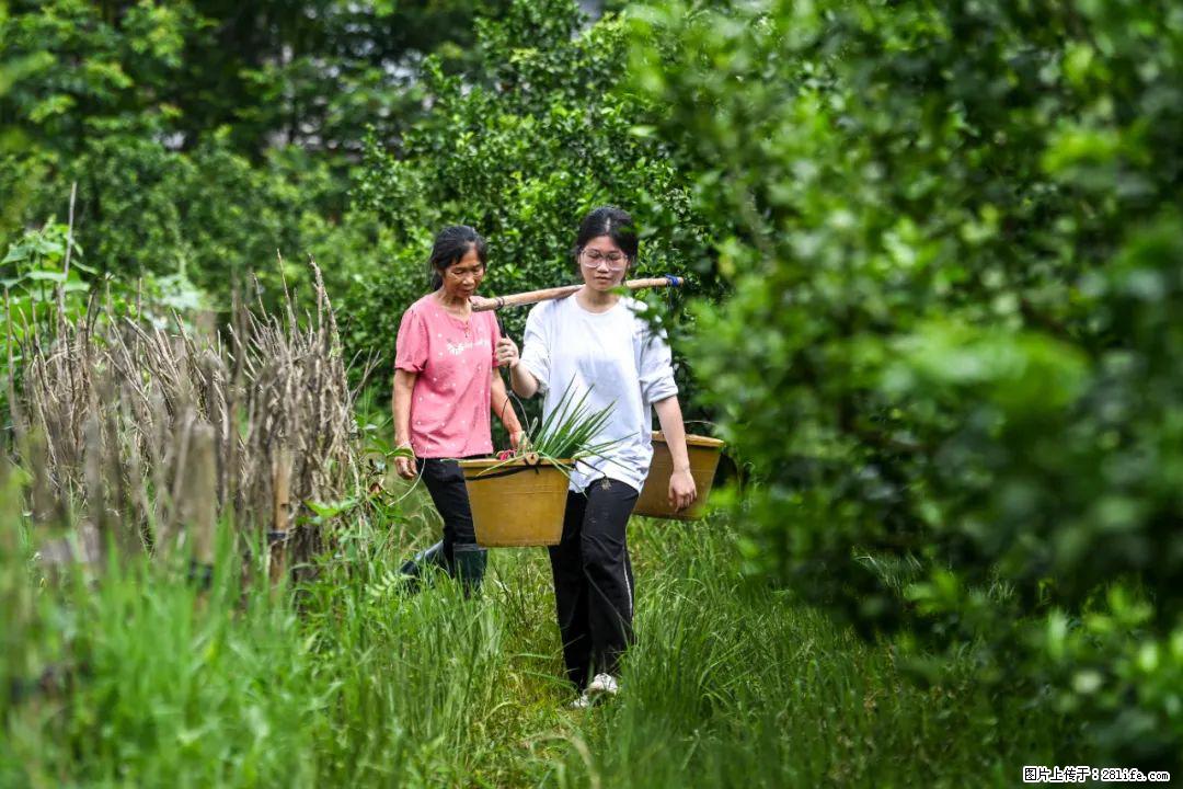 全网追的“扁担女孩”，找了一份暑假工，时薪12元 - 平顶山生活资讯 - 平顶山28生活网 pds.28life.net