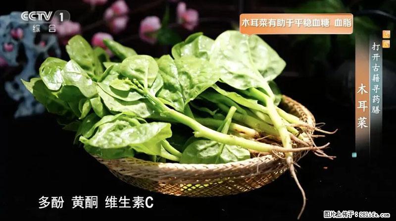 比牛奶补钙还厉害！凉血解毒、稳血糖...这菜冬天必吃，很多人却当草 - 平顶山生活资讯 - 平顶山28生活网 pds.28life.net
