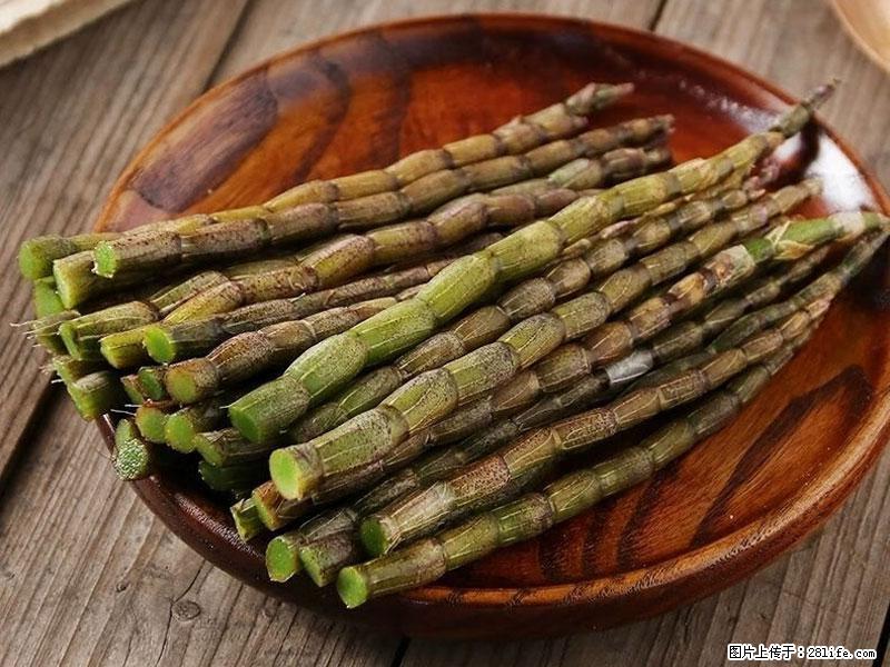 铁皮石斛的作用与功能主治 - 平顶山生活资讯 - 平顶山28生活网 pds.28life.net