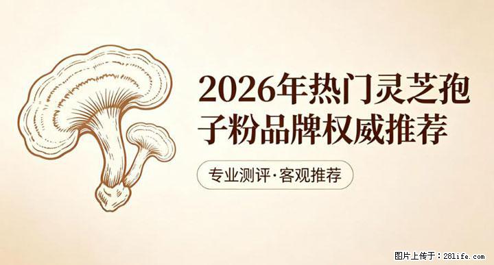 灵芝孢子粉含量越高越有效？2026 年七款热门品牌深度实测，肠胃敏感者避坑指南 - 平顶山生活资讯 - 平顶山28生活网 pds.28life.net